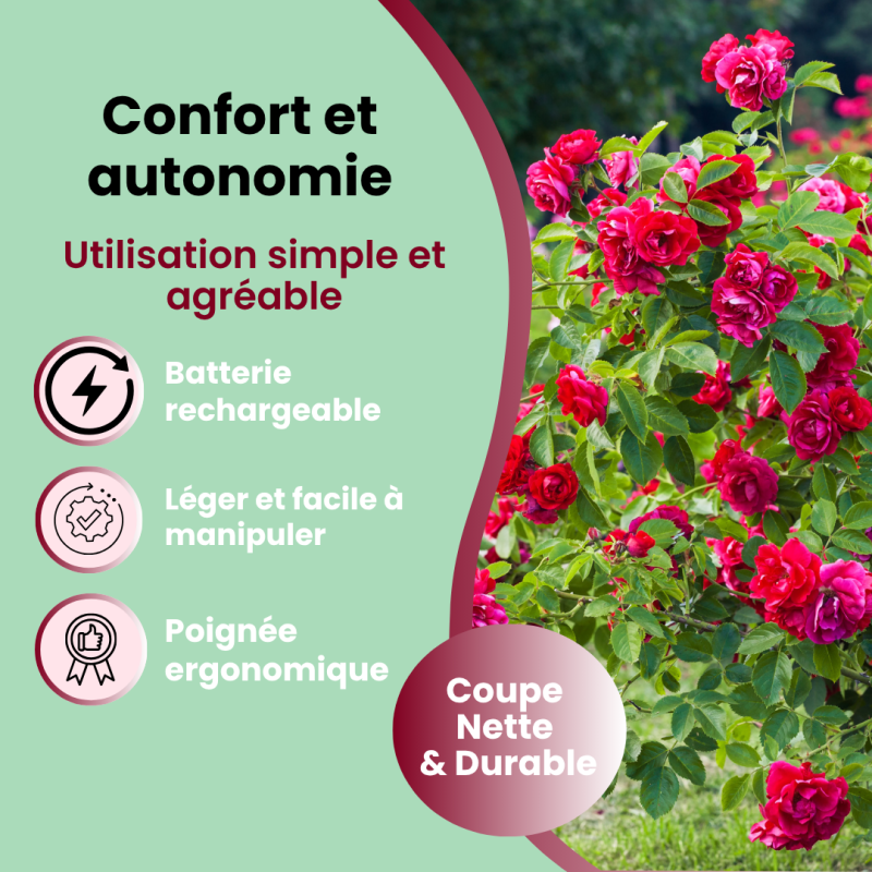 SECATEUR ELECTRIQUE SANS FIL
